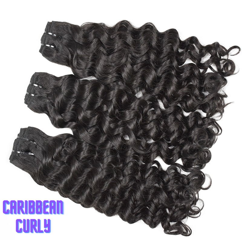 Caribbean Curly Single Bundle